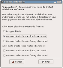 installation of codecs (small)
